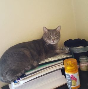 Meet your Posher, Jenna